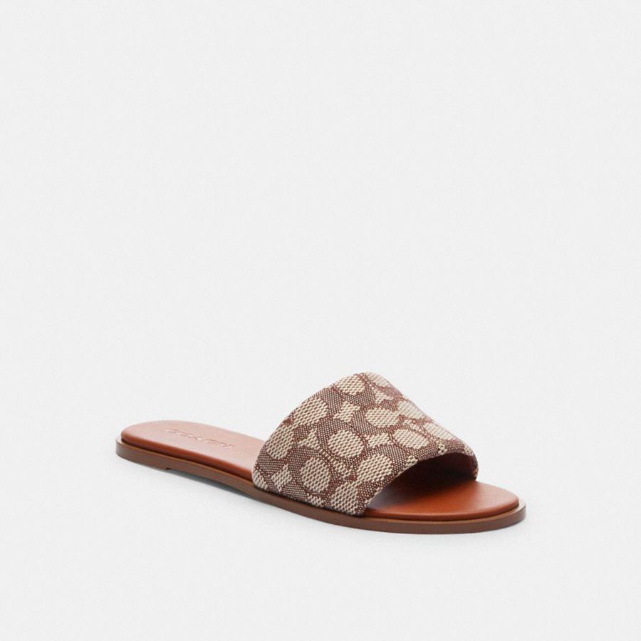 Sandalias COACH Mujer Marrones | 0238PRKUY