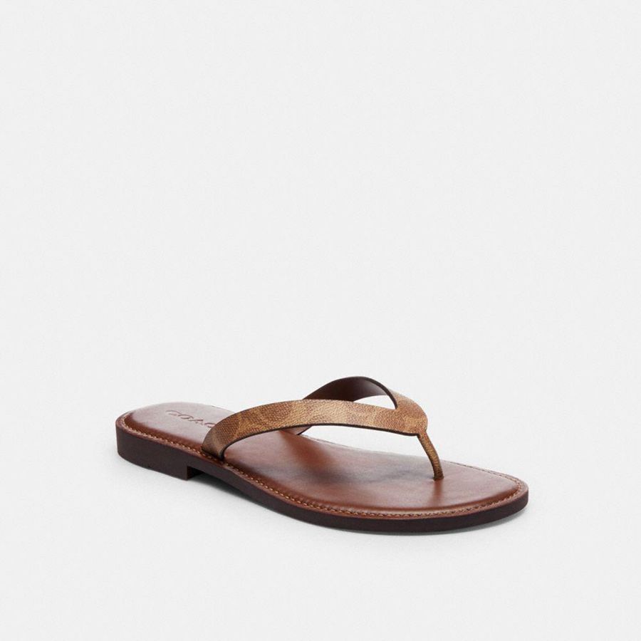 Sandalias COACH Mujer Marrones | 5724WOVUT