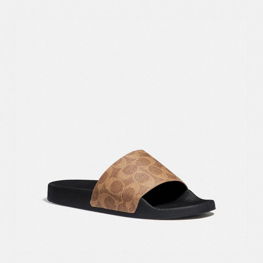Sandalias COACH Mujer Marrones | 9415ZTSVN