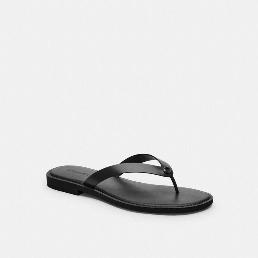 Sandalias COACH Mujer Negras | 2506OPDAG