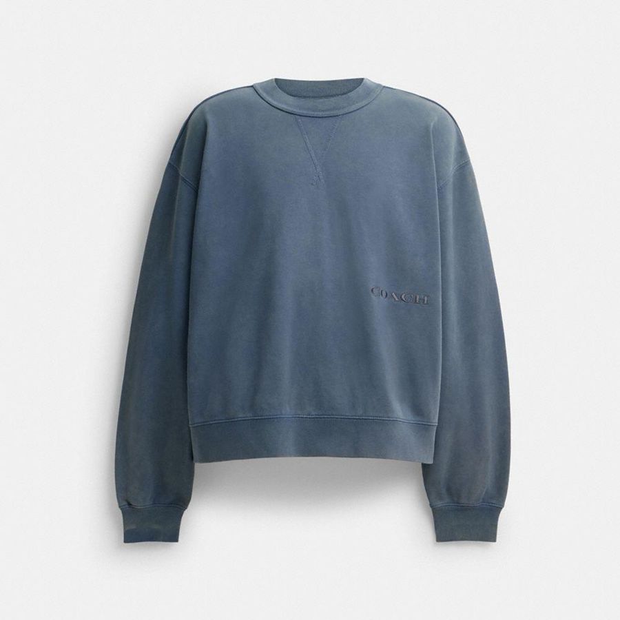 Sudadera COACH Hombre Azules | 6312KDMJZ