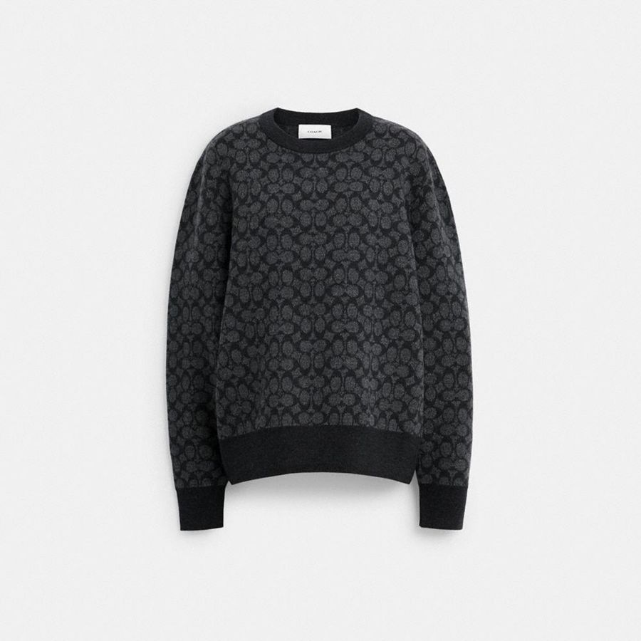 Suéter COACH Hombre Gris | 7265WNCUB